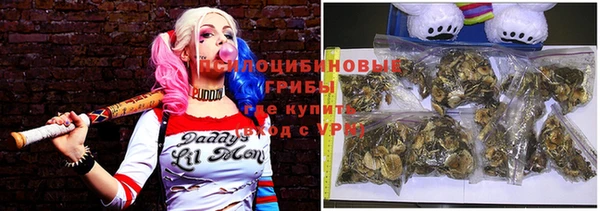 бошки Алзамай