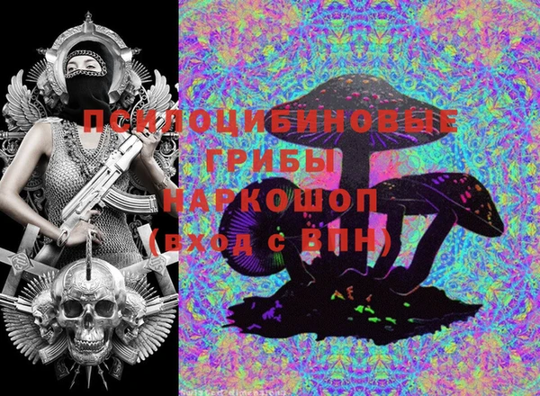 PSILOCYBIN Осташков