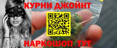 гидра Гагарин