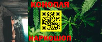 гашик Гатчина