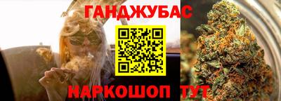 гашик Гатчина