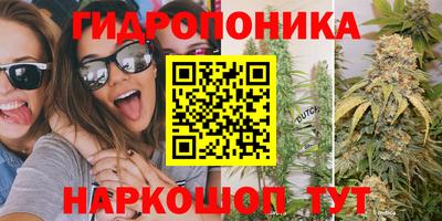 прущие грибы Гай