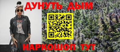 гашик Гатчина