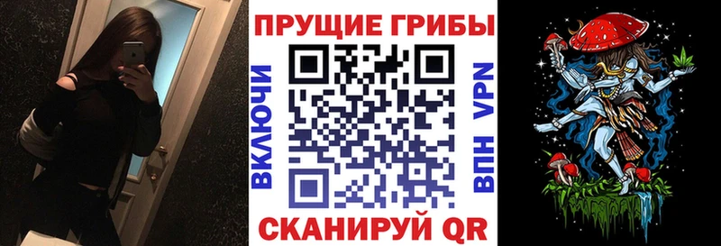 Псилоцибиновые грибы прущие грибы  наркота  Саянск 